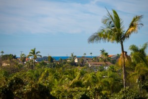 1375 Hygeia Ave, Encinitas, CA 92024