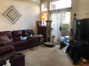 7142 Calabria Court B, San Diego, CA 92122