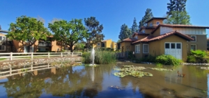 17199 W Bernardo Drive 103, San Diego, CA 92127