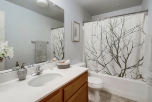 4976 Haight Terrace, San Diego, CA 92123